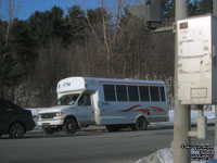 Soci�t� de transport de Trois-Rivieres - STTR 1032 - 2003 Ford / Girardin - Transport adapt�