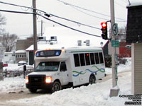 Soci�t� de transport de Trois-Rivieres - STTR 203 - 2020 Ford / Girardin - Transport adapt�