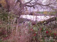 Inondations de la rivi�re Bulstrode