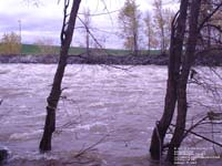 Inondations de la rivi�re Bulstrode