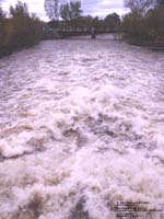 Inondations de la rivi�re Bulstrode