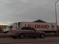 Levure Lallemand - American Yeast